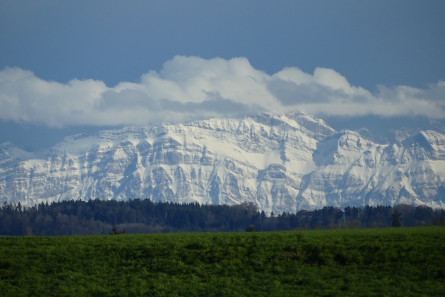 ../previews/006-Blick auf den schneebedeckten Saentis_2024_03_28--17-29-09.jpeg.medium.jpeg