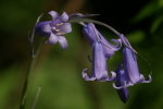 Vorschaubild 2007_04_28--15-35-06.jpg 