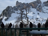 thumbnails/159-Corvidae, Pyrrhocorax graculus, Alpendohlen_2008_01_30--15-07-12.jpeg.small.jpeg